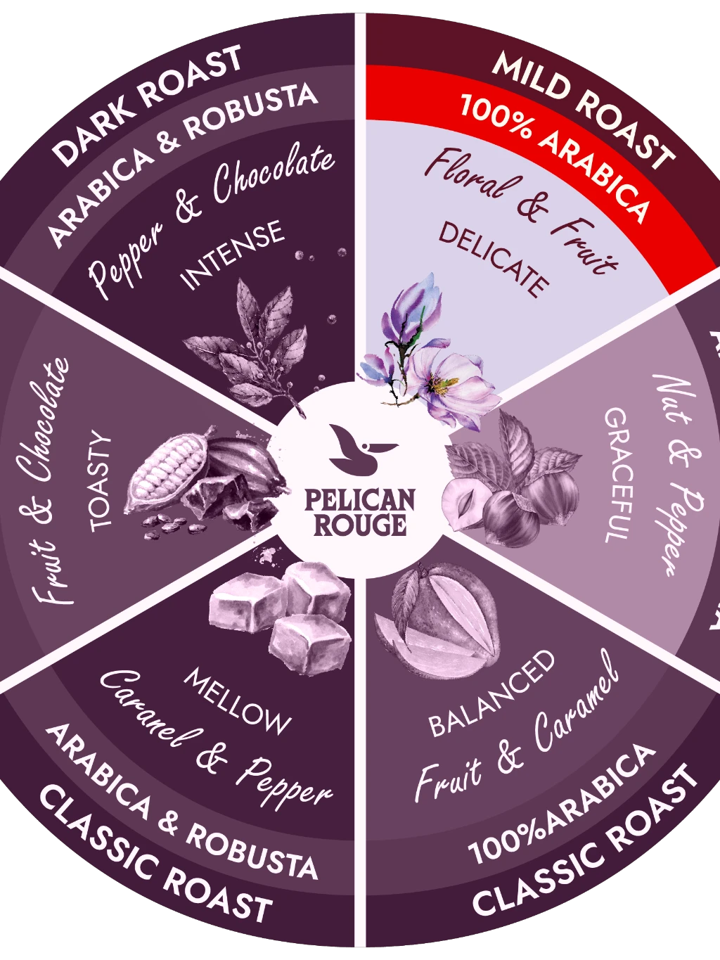 Flavour Wheel-Mild Roast- 100� Arabica 1.png